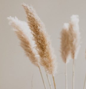 deux ailes thérapie bordeaux